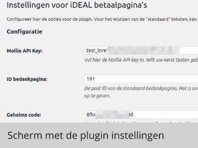 Scherm met de plugin instellingen