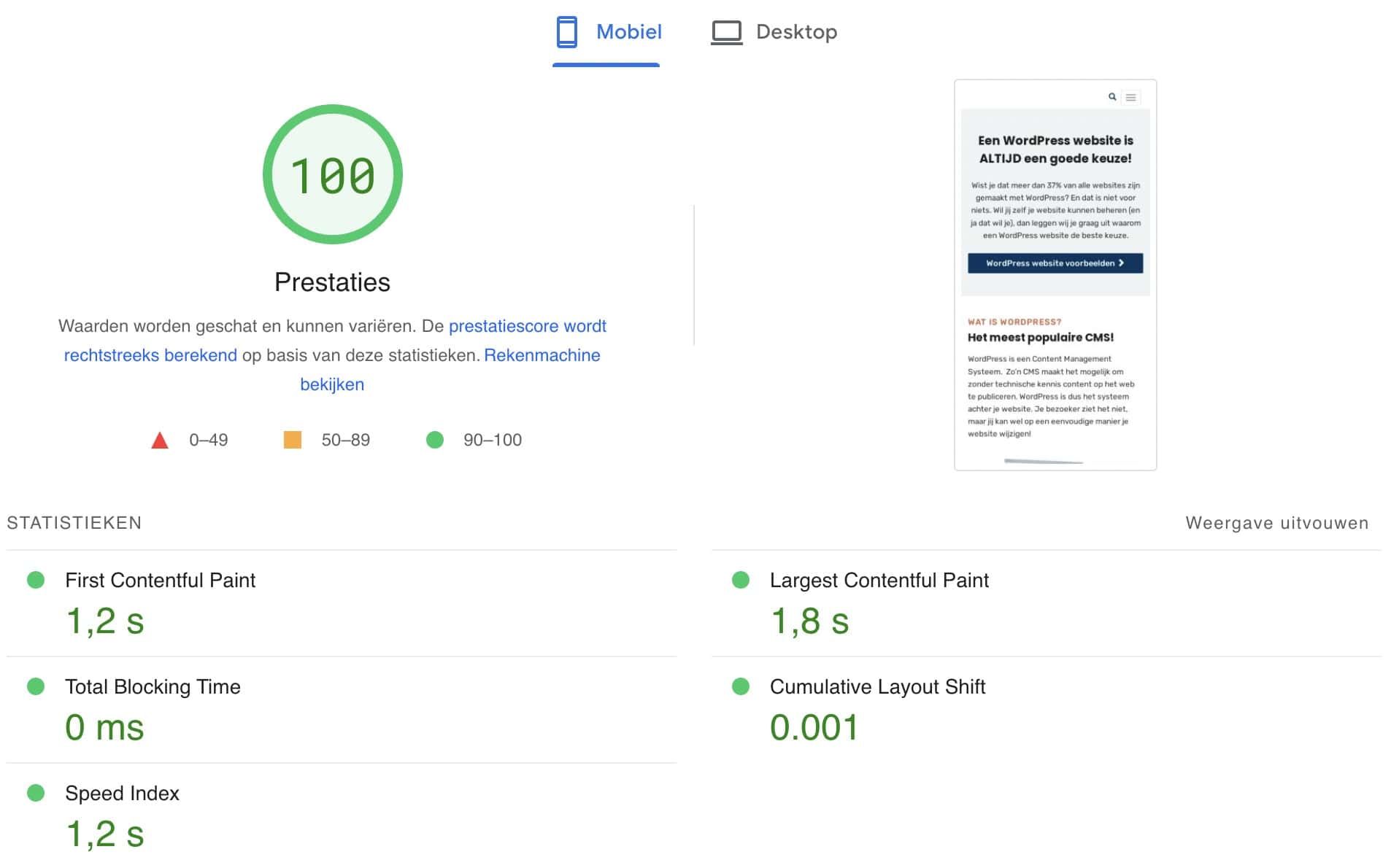 PageSpeed Insights resultaat