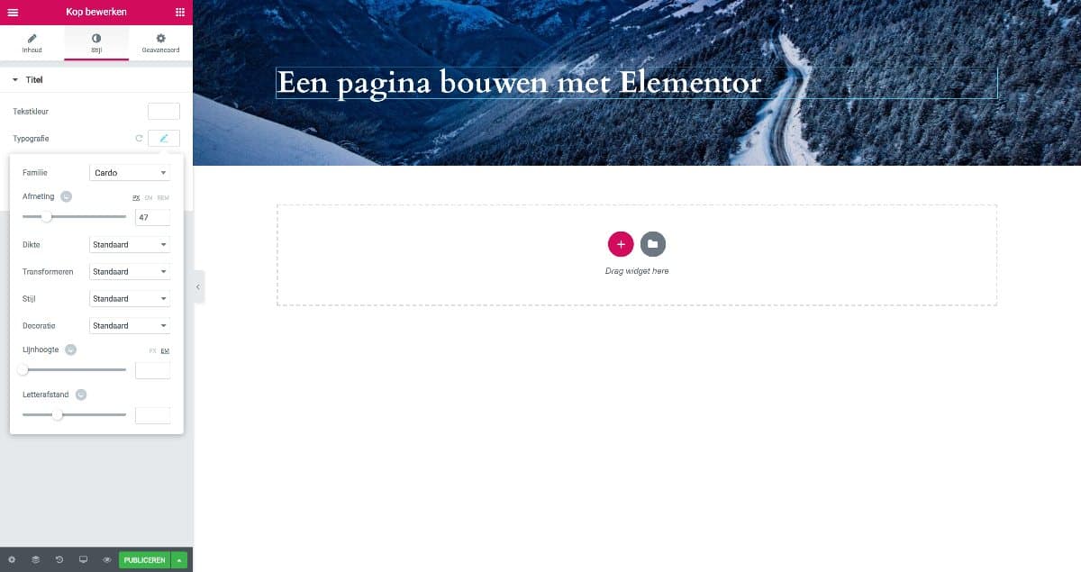 Elementor pagina