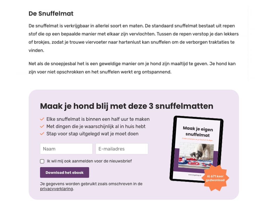 call to action voorbeeld ebook verbeterd