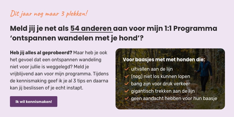 cta voorbeeld kennismaking - verbeterd